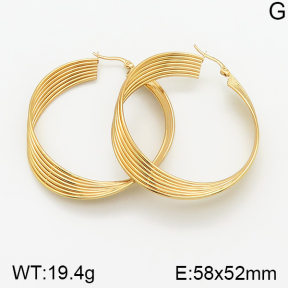 Stainless Steel Earrings  5E2002271vbpb-212