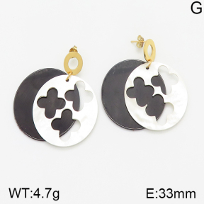 Stainless Steel Earrings  5E3000939vbnb-212