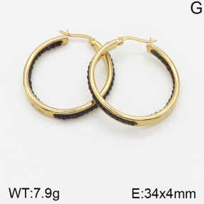 Stainless Steel Earrings  5E4002098vbmb-212