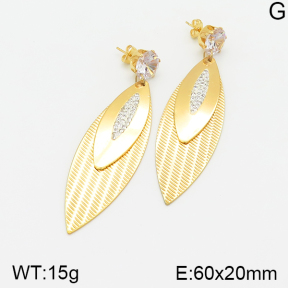 Stainless Steel Earrings  5E4002105bhva-212