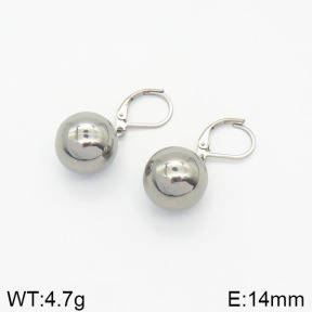 Stainless Steel Earrings  2E2001726ablb-355