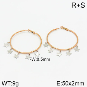 Stainless Steel Earrings  2E2001869ahjb-722