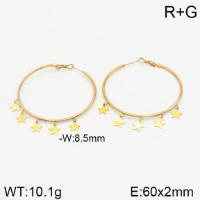 Stainless Steel Earrings  2E2001870ahjb-722