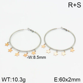 Stainless Steel Earrings  2E2001872bhva-722