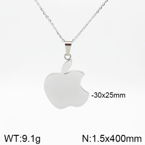 Stainless Steel Necklace  2N2002831aakl-635