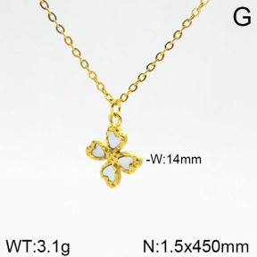Stainless Steel Necklace  2N3001090vbnl-355