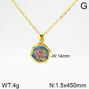 Stainless Steel Necklace  2N3001092vbnb-355