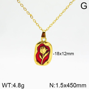 Stainless Steel Necklace  2N3001096vbnb-355
