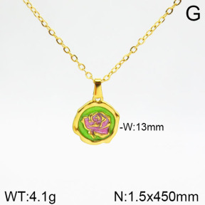 Stainless Steel Necklace  2N3001098vbnb-355