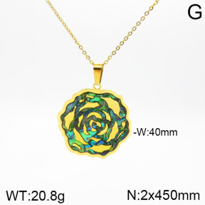 Stainless Steel Necklace  2N3001120ahjb-635