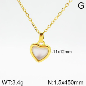 Stainless Steel Necklace  2N4001696vbnl-355