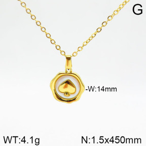 Stainless Steel Necklace  2N4001701vbnl-355