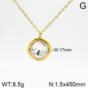 Stainless Steel Necklace  2N4001703vbnb-355