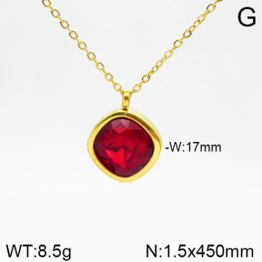 Stainless Steel Necklace  2N4001707vbnb-355