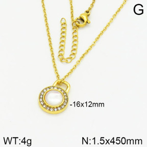 Stainless Steel Necklace  2N4001710abol-355