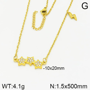 Stainless Steel Necklace  2N4001713vbnl-355