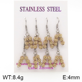 Stainless Steel Earrings  5E4002120aima-254