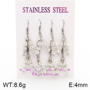 Stainless Steel Earrings  5E4002122aima-254