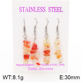 Stainless Steel Earrings  5E4002126ahlv-254