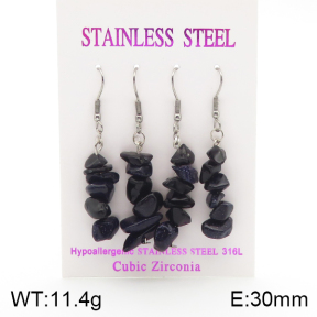 Stainless Steel Earrings  5E4002127ahlv-254