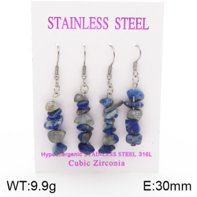 Stainless Steel Earrings  5E4002129ahlv-254