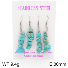 Stainless Steel Earrings  5E4002130ahlv-254