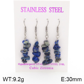 Stainless Steel Earrings  5E4002131ahlv-254