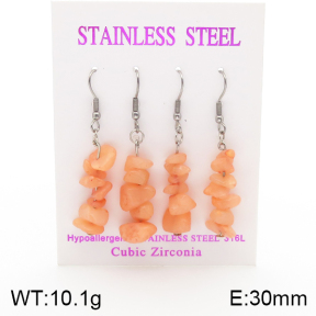 Stainless Steel Earrings  5E4002132ahlv-254
