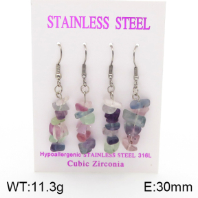 Stainless Steel Earrings  5E4002133ahlv-254
