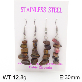 Stainless Steel Earrings  5E4002134ahlv-254