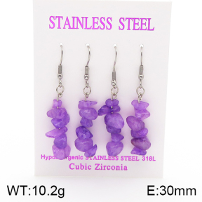 Stainless Steel Earrings  5E4002135ahlv-254