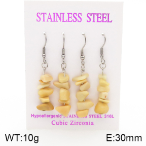 Stainless Steel Earrings  5E4002136ahlv-254