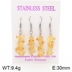 Stainless Steel Earrings  5E4002137ahlv-254
