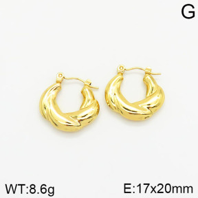 Stainless Steel Earrings  2E2001799vajj-689