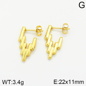 Stainless Steel Earrings  2E2001801vajj-689