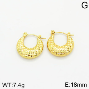 Stainless Steel Earrings  2E2001802vajj-689