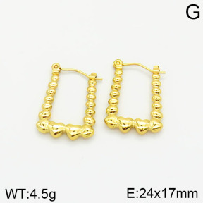 Stainless Steel Earrings  2E2001804vajj-689