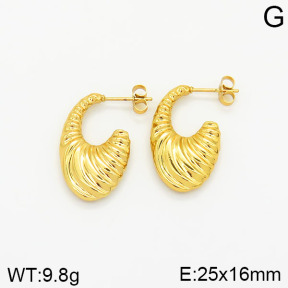 Stainless Steel Earrings  2E2001805vajj-689