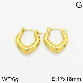 Stainless Steel Earrings  2E2001806vajj-689