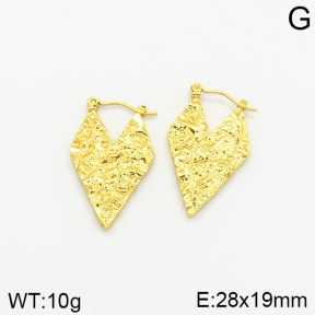 Stainless Steel Earrings  2E2001811vajj-689