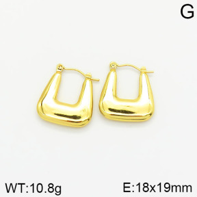 Stainless Steel Earrings  2E2001812vajj-689