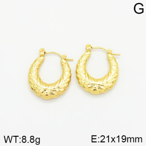 Stainless Steel Earrings  2E2001816vajj-689