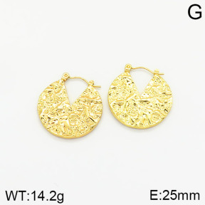 Stainless Steel Earrings  2E2001818vajj-689