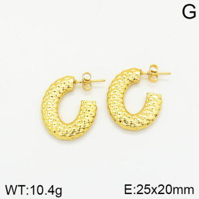 Stainless Steel Earrings  2E2001820vajj-689