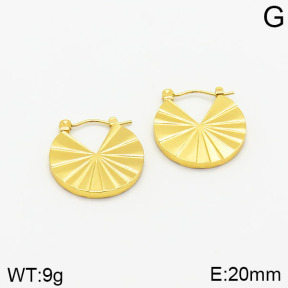 Stainless Steel Earrings  2E2001821vajj-689