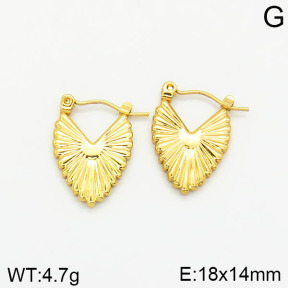 Stainless Steel Earrings  2E2001823vajj-689