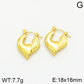 Stainless Steel Earrings  2E2001824vajj-689