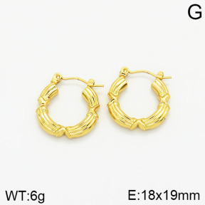 Stainless Steel Earrings  2E2001825vajj-689