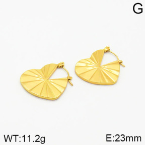 Stainless Steel Earrings  2E2001826vajj-689