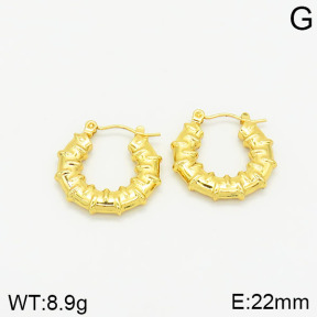 Stainless Steel Earrings  2E2001832vajj-689